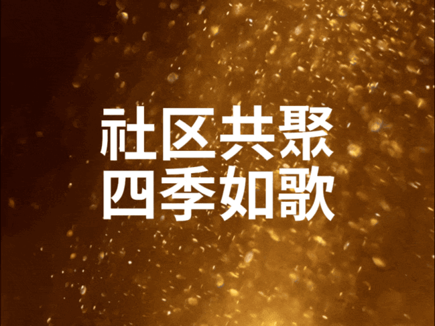 图片 5.gif